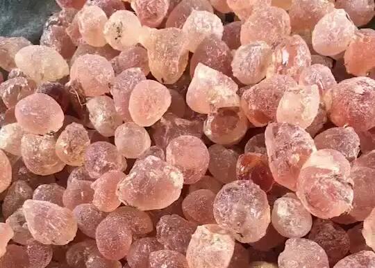 天然膠裝物質(zhì)(植物膠) 天然膠裝物質(zhì)(植物膠)